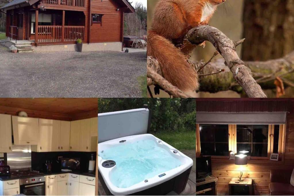 Red Squirrel Log Cabin With Hot Tub Кит Экстерьер фото